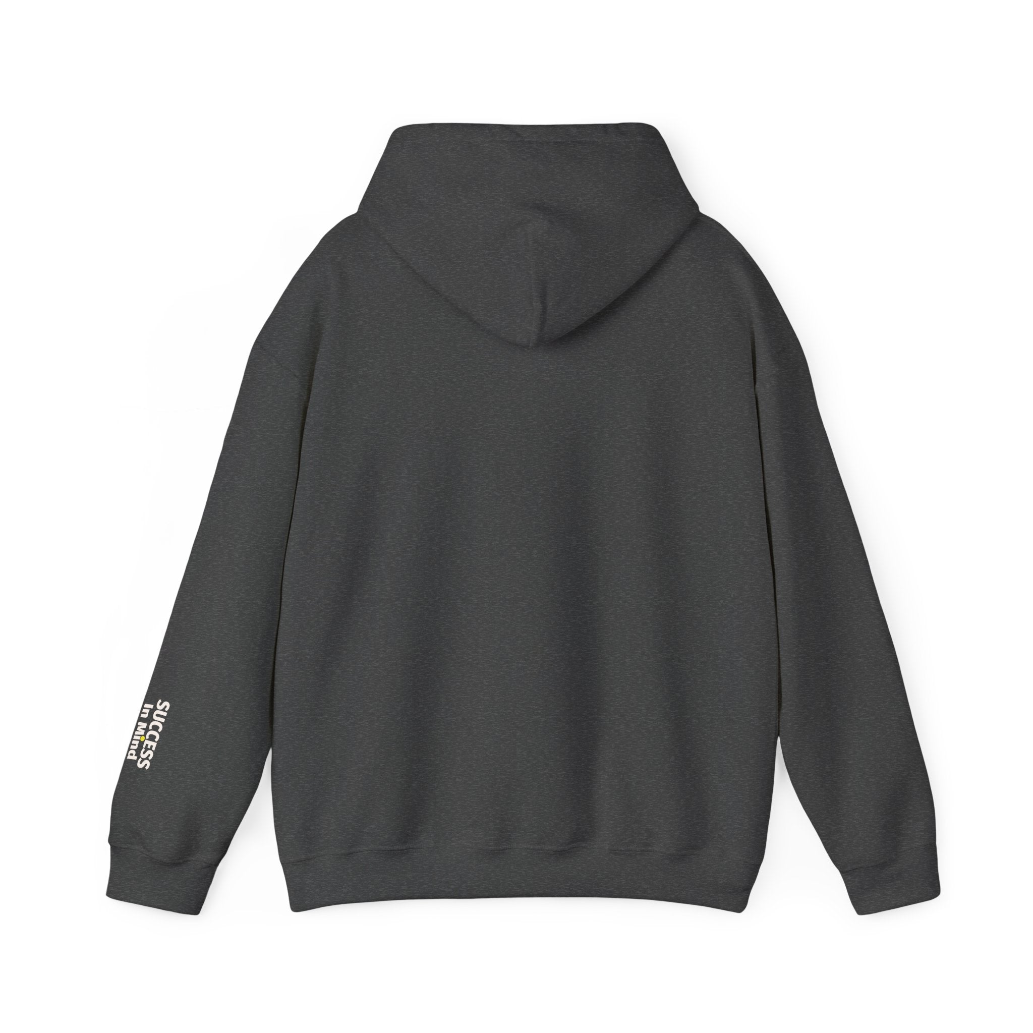 Hoodie — Small Embroidered Sloth Graphic Hooded Sweatshirt