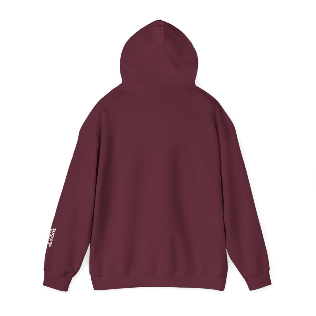 Hoodie — Small Embroidered Sloth Graphic Hooded Sweatshirt