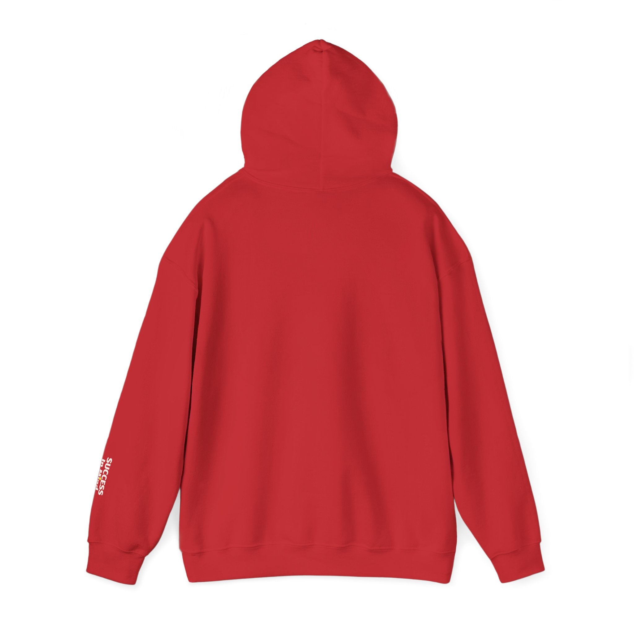 Hoodie — Small Embroidered Sloth Graphic Hooded Sweatshirt