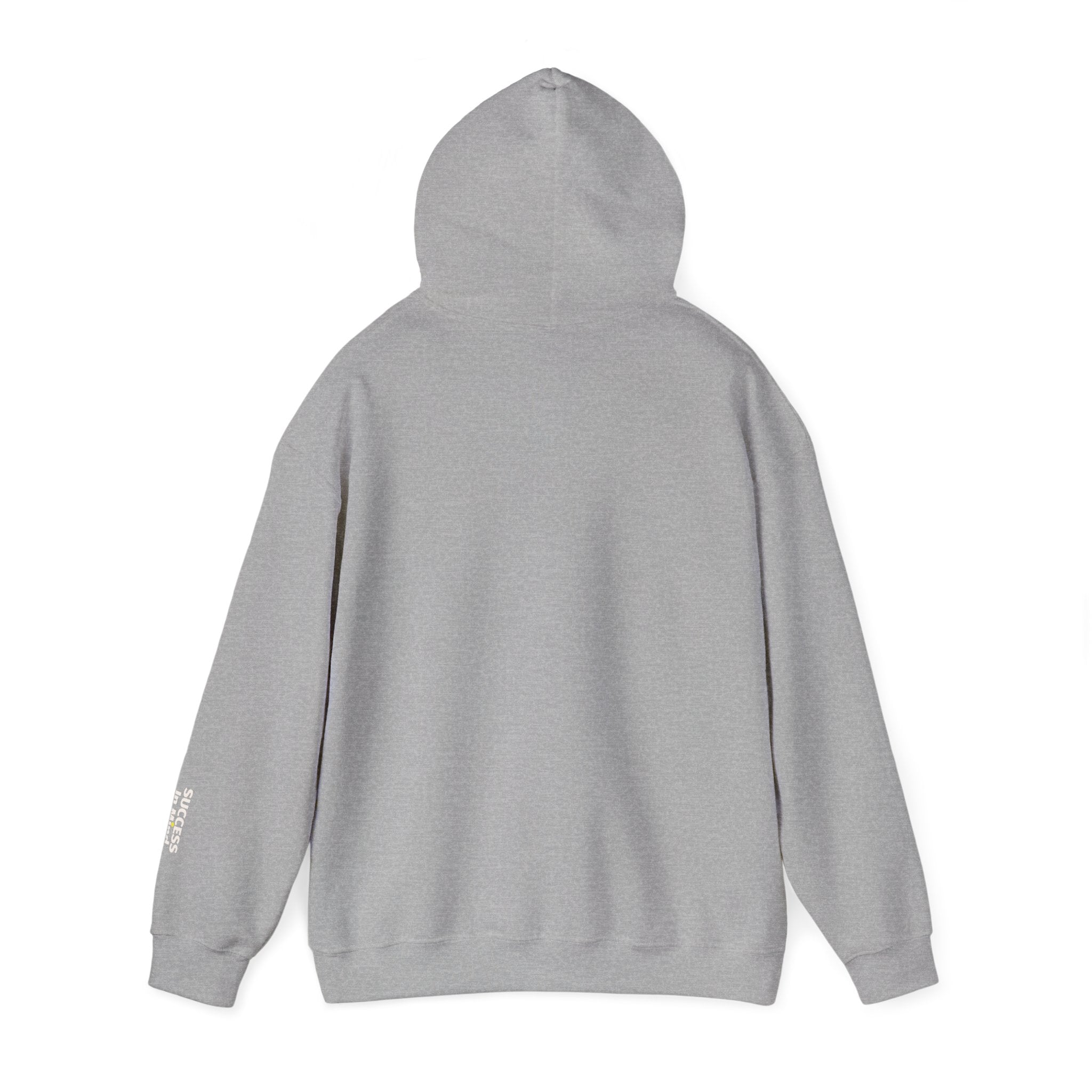 Hoodie — Small Embroidered Sloth Graphic Hooded Sweatshirt