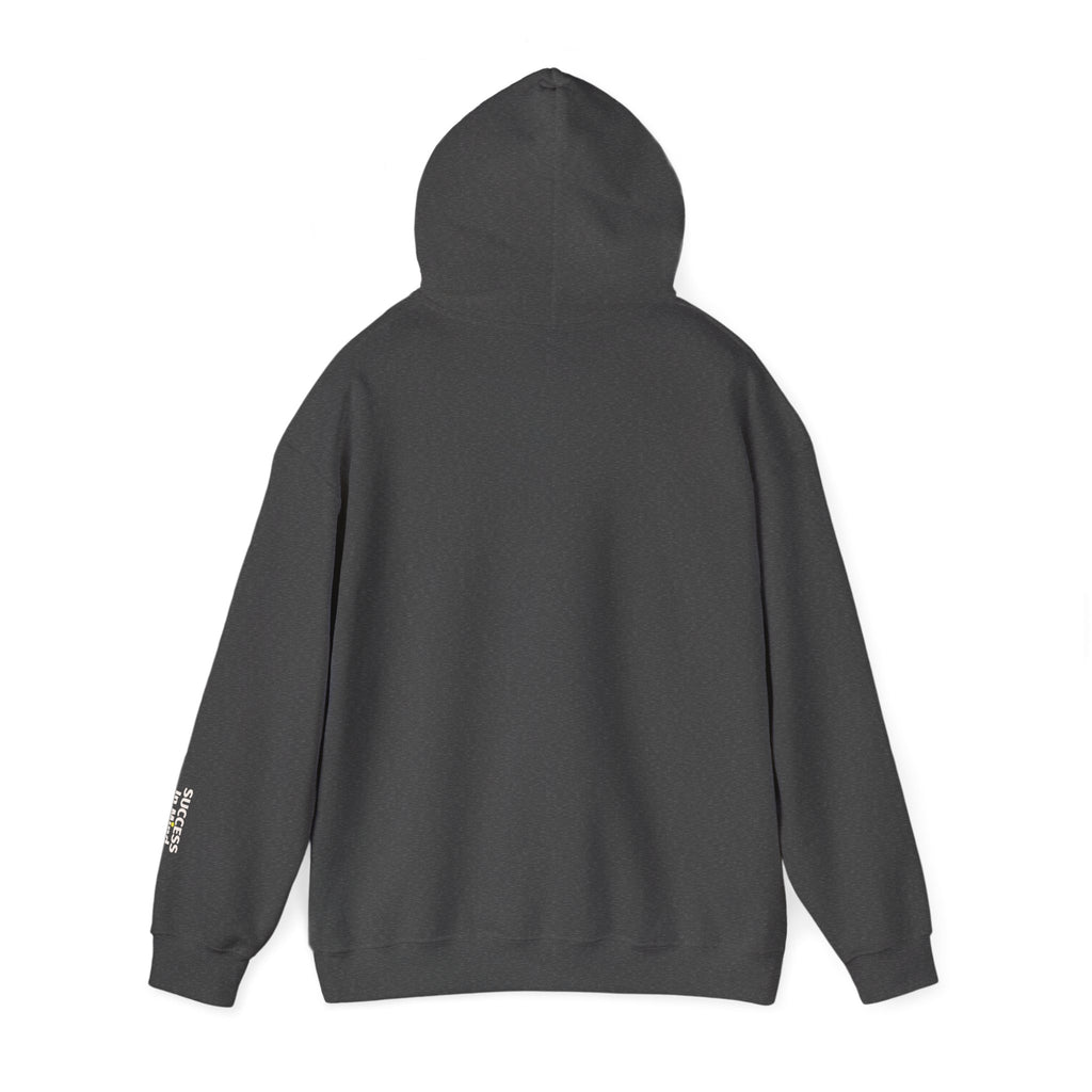 Hoodie — Small Embroidered Sloth Graphic Hooded Sweatshirt