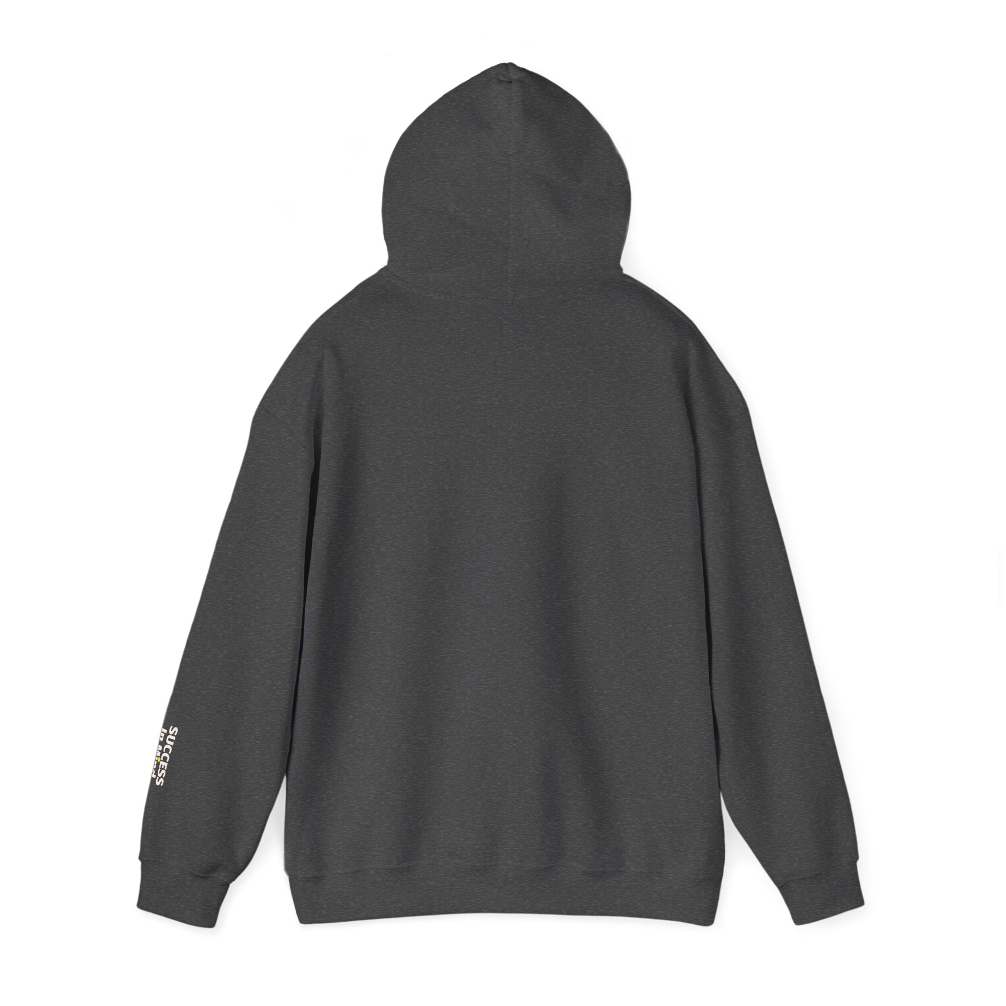 Hoodie — Small Embroidered Sloth Graphic Hooded Sweatshirt